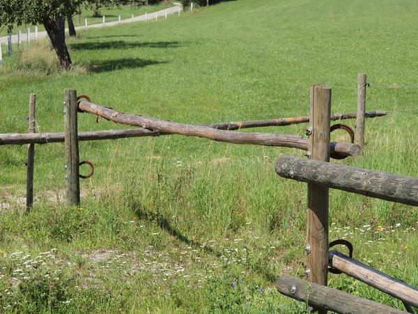 Bild Nr. 5